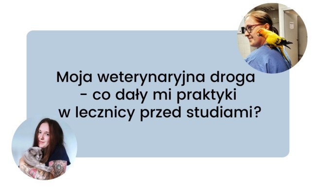 Moja weterynaryjna droga - co dały mi praktyki w lecznicy przed studiami?