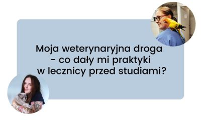 Moja weterynaryjna droga - co dały mi praktyki w lecznicy przed studiami?