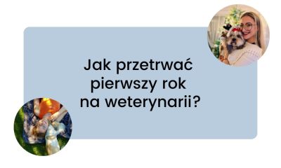 Jak przetrwać pierwszy rok na weterynarii?