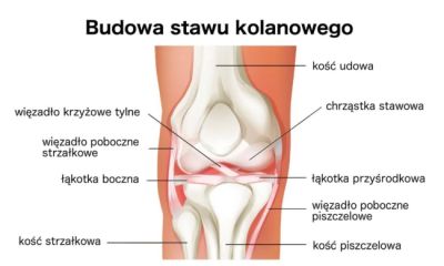 Ból kolan: co jest dobre na stawy kolanowe?